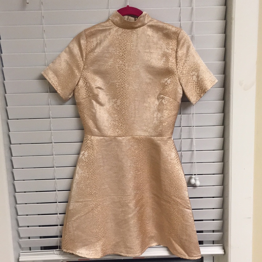 Shimmery Missguided Semiformal Dress